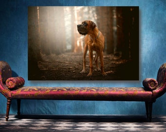 Great Dane Dog Poster Print, Aesthetic Home Decor
