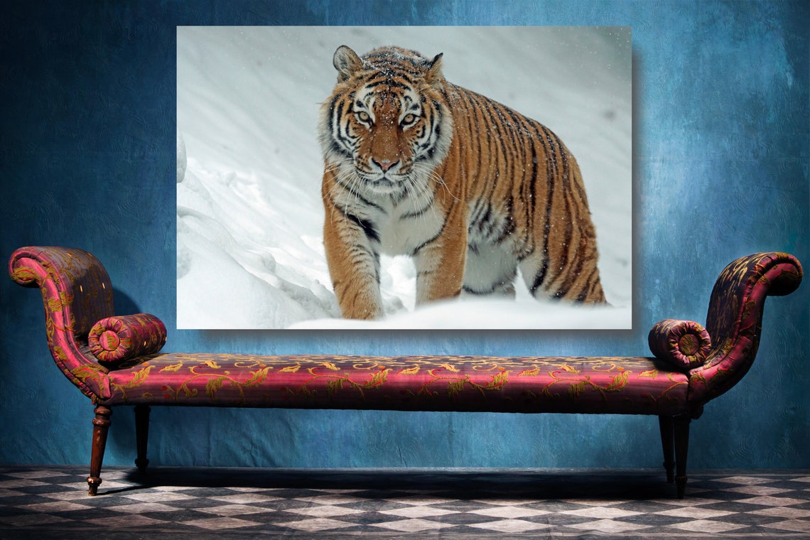 Siberian Tiger Canvas Wall Art Large Framed Tiger Print Home - Etsy UK