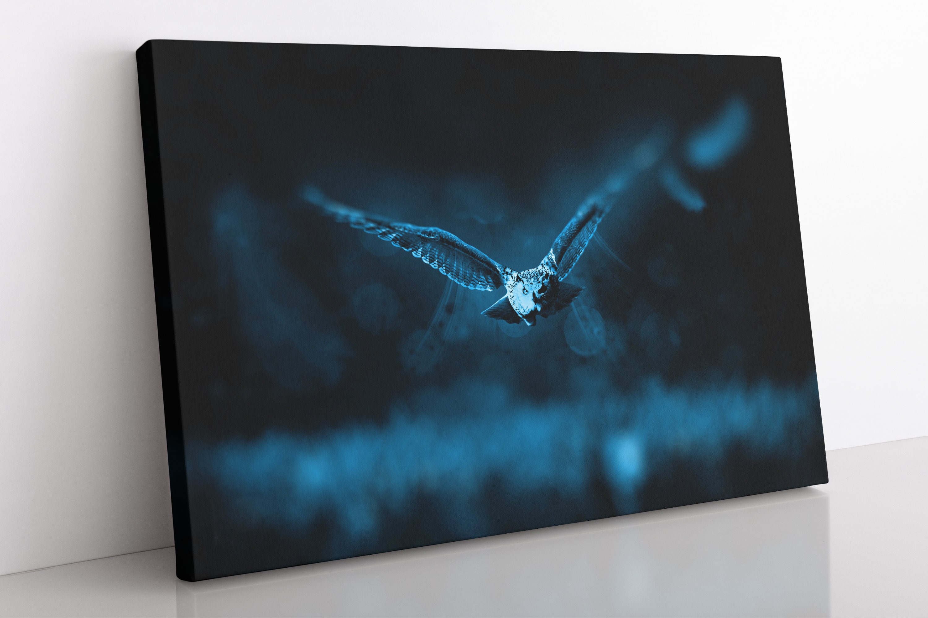 Owl In Flight Canvas Print: Large Framed Wall Art