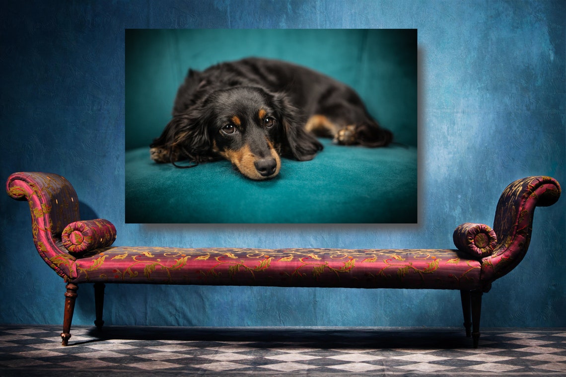 Dachshund Sausage Dog Canvas Wall Art Large Framed Animal | Etsy