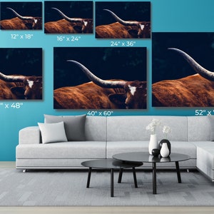 May include: A close-up photograph of a longhorn steer with large horns. The steer is brown and white and is standing in a dark forest. The steer's horns are curved and point upwards. The steer's eyes are closed and its mouth is slightly open. The steer's fur is soft and fluffy. The background is dark and blurry. The image is a great example of the beauty of nature.