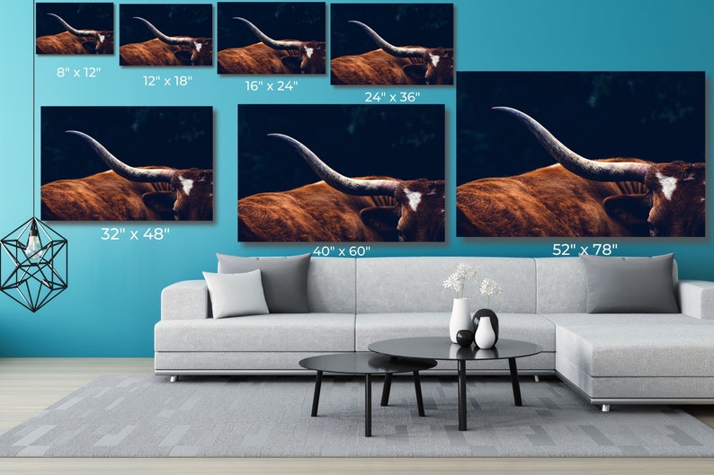 May include: A close-up photograph of a longhorn steer with large horns. The steer is brown and white and is standing in a dark forest. The steer's horns are curved and point upwards. The steer's eyes are closed and its mouth is slightly open. The steer's fur is soft and fluffy. The background is dark and blurry. The image is a great example of the beauty of nature.