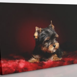 Yorkshire Terrier Canvas Print: Framed Dog Wall Art