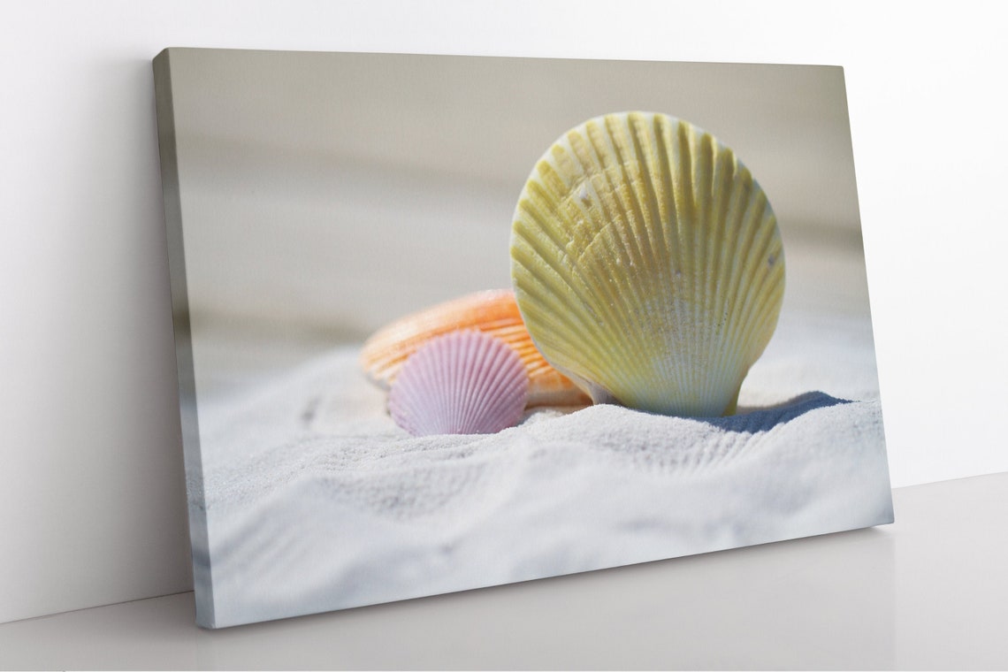 Beach Seashell Canvas Wall Art Large Framed Coastal Print Etsy