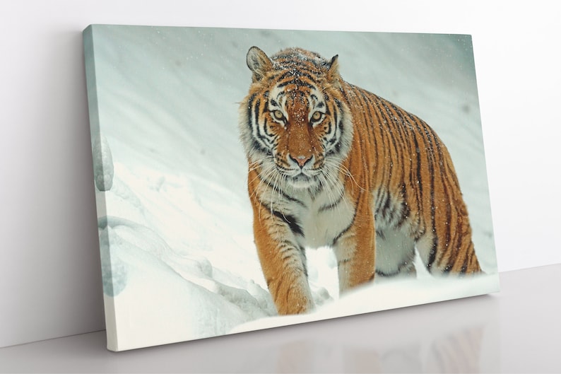 Siberian Tiger Canvas Wall Art Large Framed Tiger Print Home Etsy UK