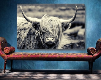 Highland Cow Poster Print: Large Unframed Animal Wall Art