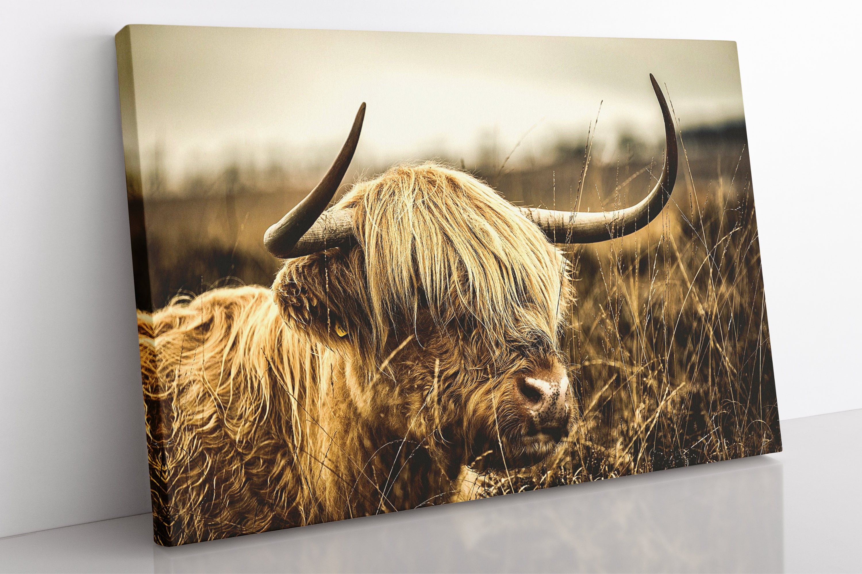 Highland Cow Canvas Wall Art, Large Framed Highland Cow Print Home Decor Wall Art, Aesthetic Room Decor Animal Print For Office Home Gift