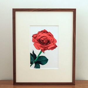 May include: A framed photograph of a single red rose with green leaves and a stem. The rose is in focus and the background is blurred.