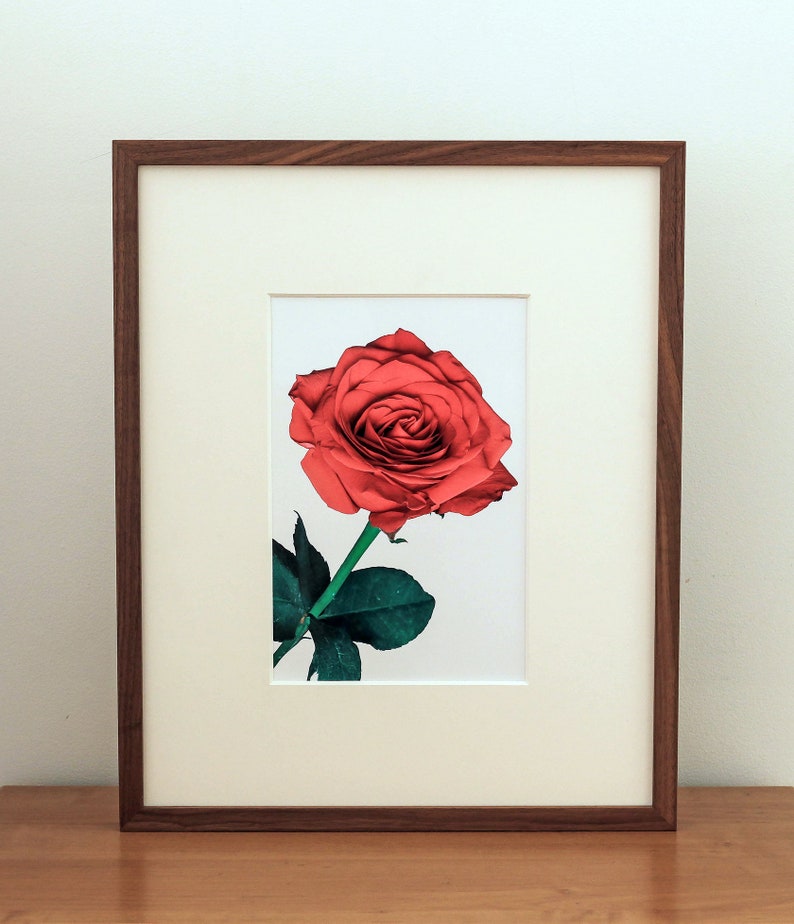 May include: A framed photograph of a single red rose with green leaves and a stem. The rose is in focus and the background is blurred.