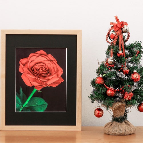 11x14 Maple Picture Frame, Matted to 8x10, Thin Wood Edge, shops Gallery Style, Simple, Minimal, Custom Mat Opening Available