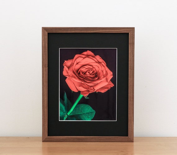 11x14 Black Walnut Gallery Frame, Matted to 8x10, Thin, Simple, UV