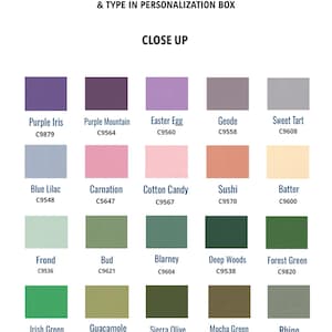 May include: A color chart with 18 different paint colors, each with a name and a corresponding color code. The colors range from purple to green, with names like Purple Iris, Easter Egg, Sushi, and Forest Green.