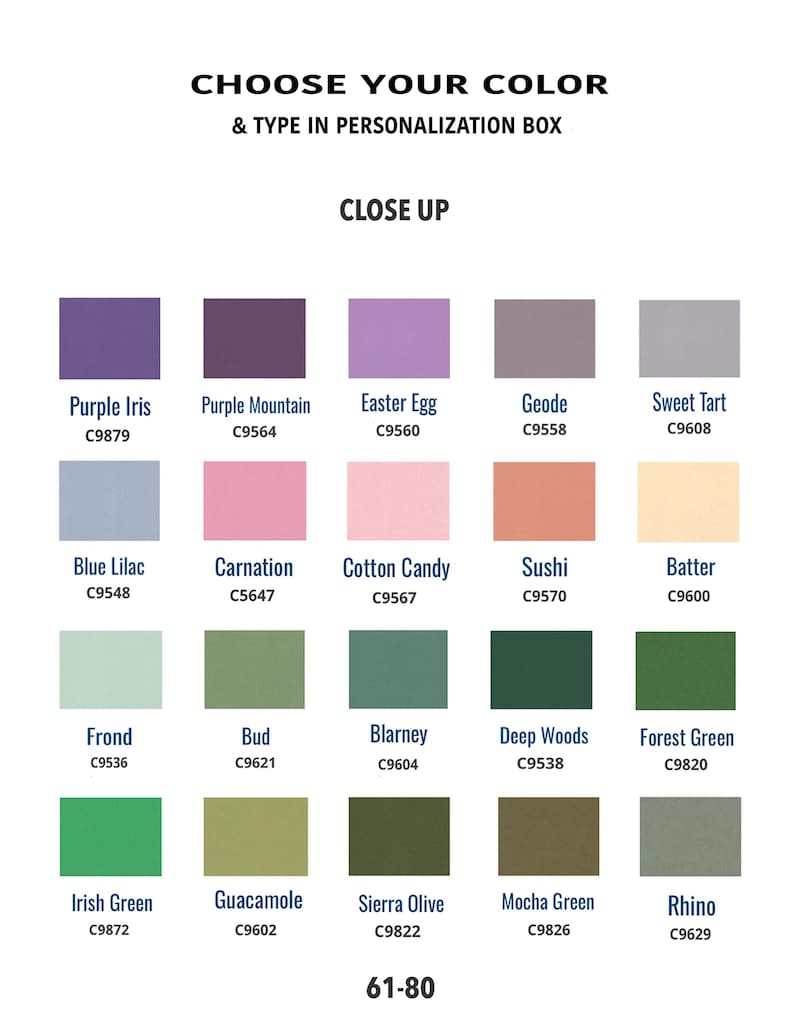May include: A color chart with 18 different paint colors, each with a name and a corresponding color code. The colors range from purple to green, with names like Purple Iris, Easter Egg, Sushi, and Forest Green.