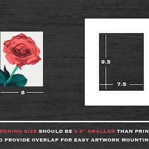 May include: A red rose with green leaves on a white background. The image shows the dimensions of the print and the opening size of a frame, which should be 0.5 inches smaller than the print to allow for overlap.