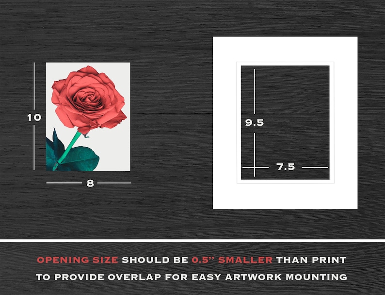 May include: A red rose with green leaves on a white background. The image shows the dimensions of the print and the opening size of a frame, which should be 0.5 inches smaller than the print to allow for overlap.