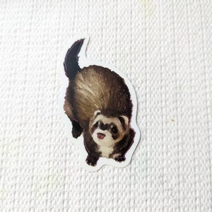 Ferret Sticker