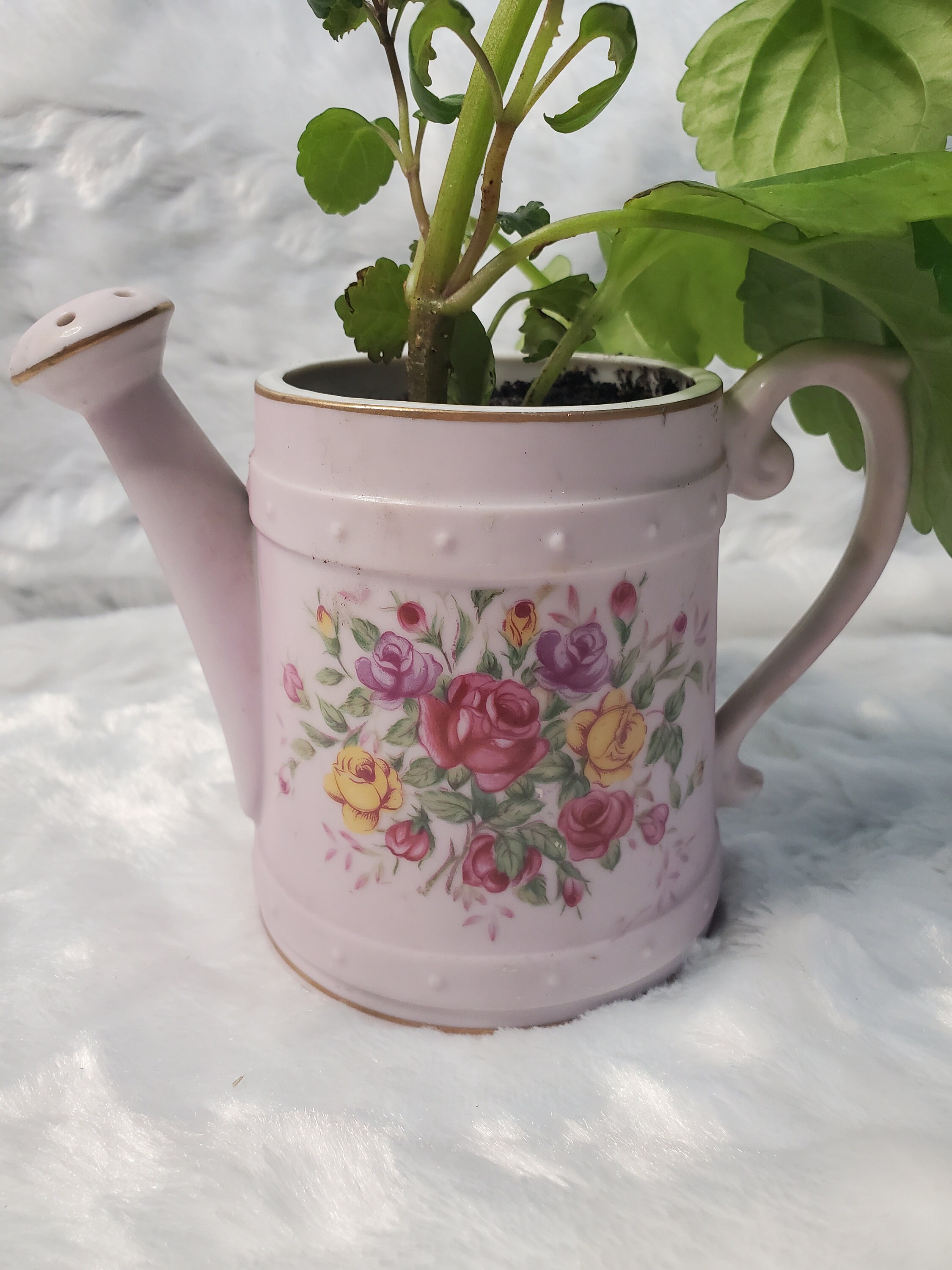Watering Can Planter Etsy