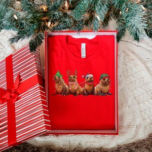 May include: Red t-shirt with a graphic of four seals wearing Christmas hats and lights. The seals are wearing a Santa hat, a reindeer hat, a green hat, and a green and red hat.