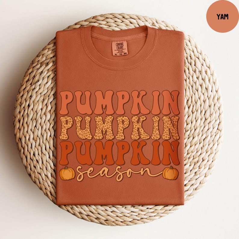 May include: A terracotta-colored t-shirt with the words "PUMPKIN PUMPKIN PUMPKIN season" in a retro font. The word "PUMPKIN" is repeated three times, with the middle one having a leopard print pattern. Two orange pumpkins flank the word "season".