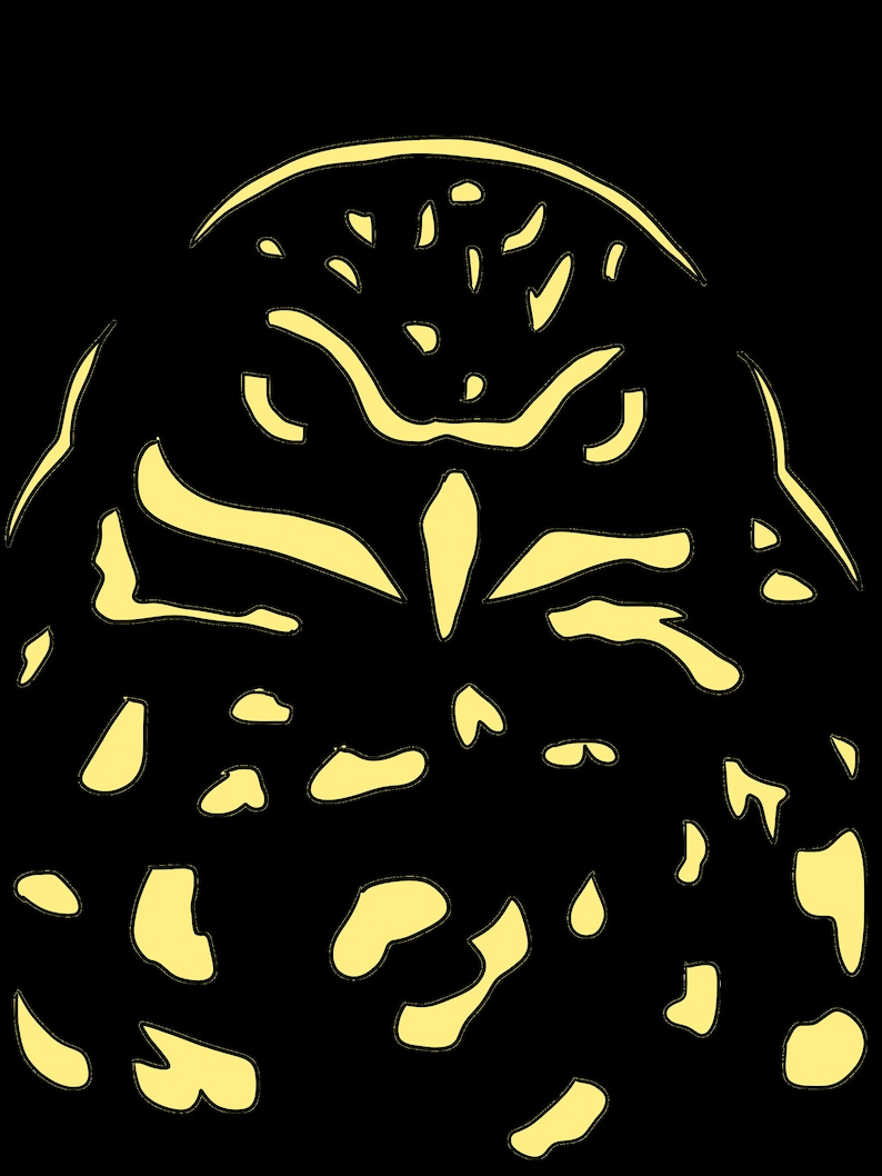 Printable Owl Pumpkin Carving Stencils | Includes Backgrounds for Double Sided Carvings - Etsy