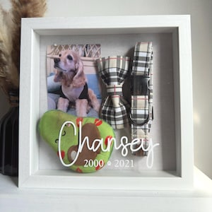 May include: A white shadow box memorial for a dog named Chansey. The box includes a photo of the dog, a plaid bow tie, a plaid dog collar, and a green avocado-shaped dog toy. The text "Chansey 2000 - 2021" is written on the bottom of the box.