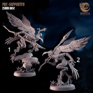 May include: Two detailed miniature figurines of mythical creatures with bird-like features, holding spears. The figurines are grey and stand on small bases. Text at the top reads "PRE-SUPPORTED 25MM BASE". The Goetia Miniatures logo is in the upper right corner.