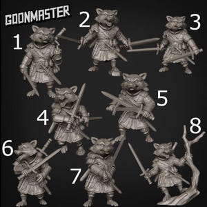 Racoon Rogue - Goonmaster