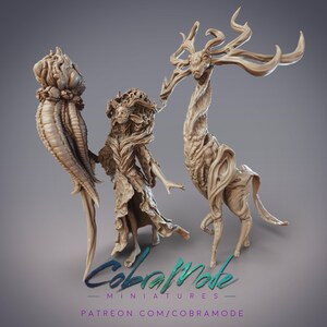 Ciorcal Druid Dinad, Fungusfolk Queen - CobraMode | 28mm and 32mm | Wargaming | DnD | Tabletop Roleplaying