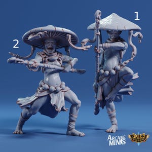 Fungarii Monk- Sordane Publishing