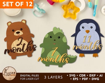 Milestone Svg Girl Boy Laser Cut File Glowforge Baby Gift and Baby Laser Cut Files, Kids Laser Cut File and kids dxf, Monthly Cards | #443