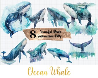 8 pacotes de aquarela de baleia clipart, linda baleia oceano animal sublimação fundo transparente PNG
