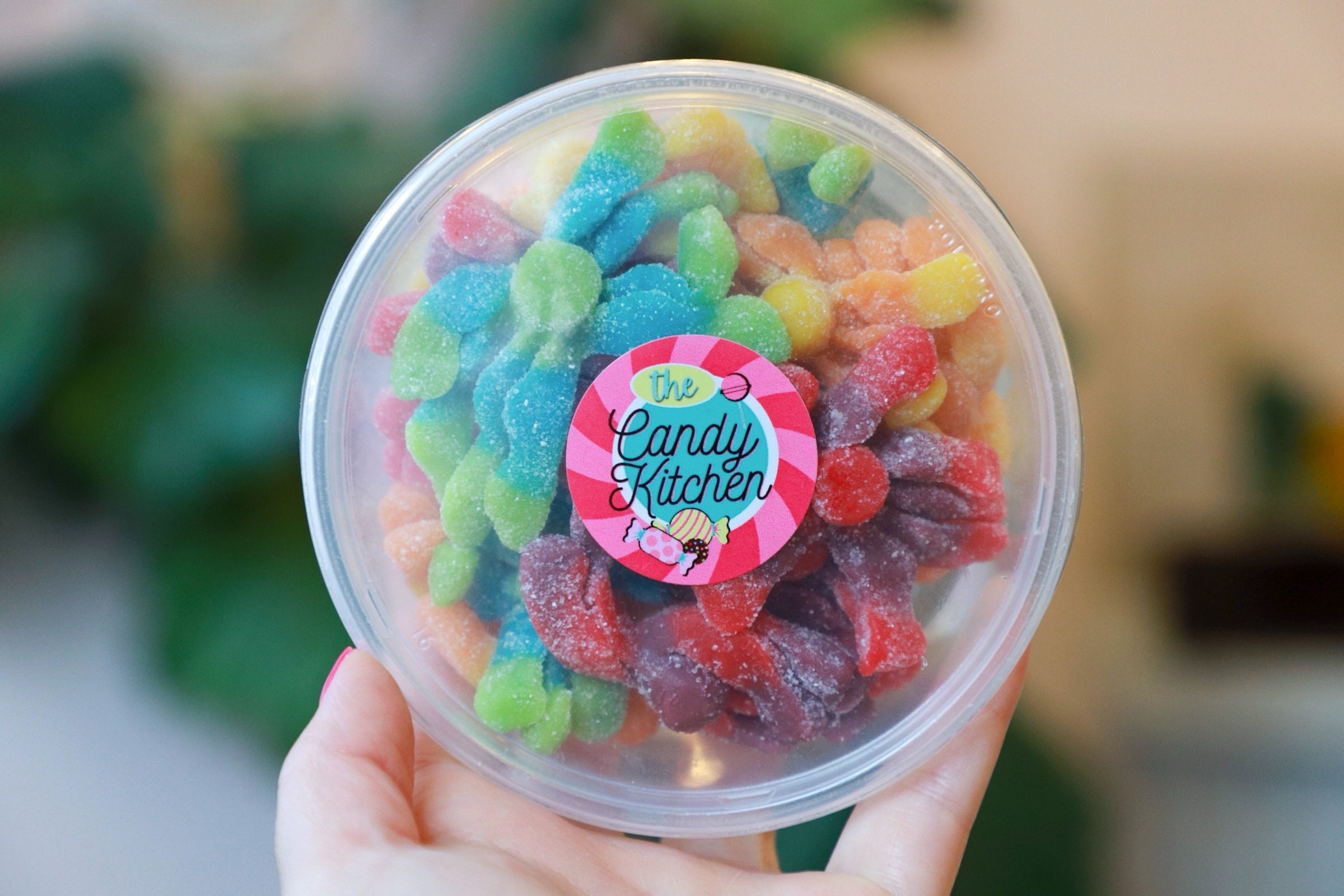 Sour Gummy Octopus Gummy Candy Candy Etsy