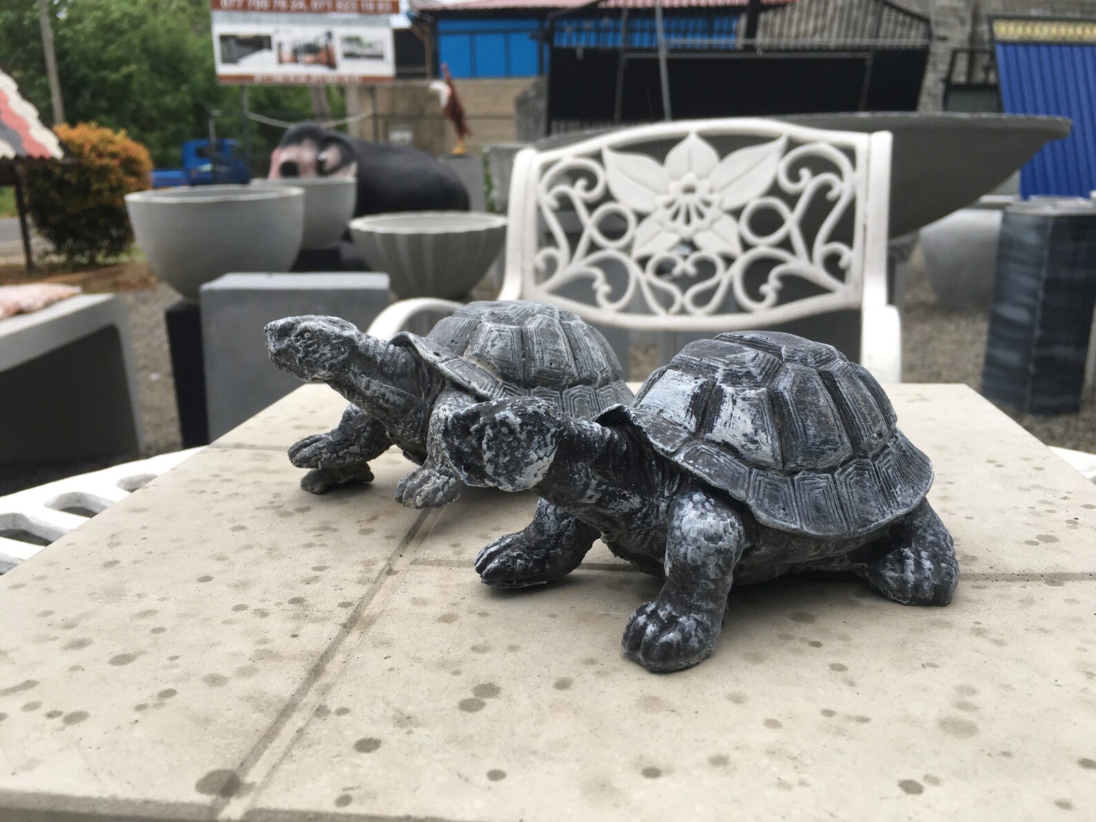 yard tortoise statue