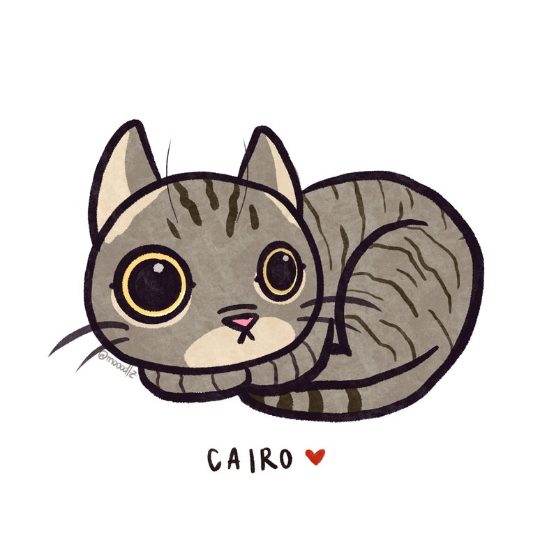 Cute Hand Drawn Cartoon Pet Portrait // Custom Pet Portrait // Personalized Cat Illustration // Personalized Dog Art image 5