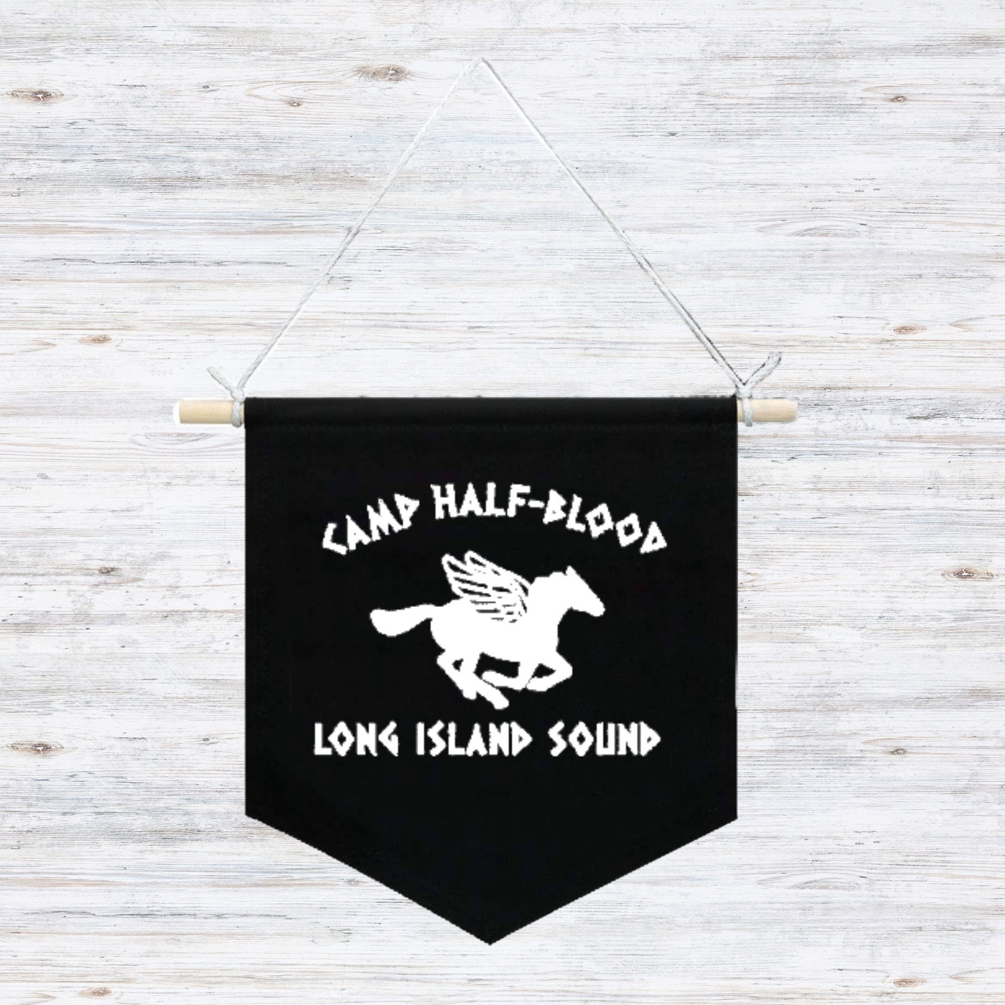 Camp Half Blood: Camp Pennant