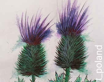 watercolour thistle print a5 a4