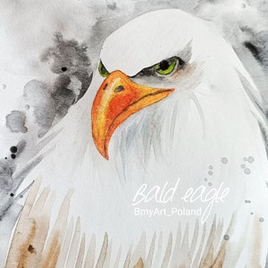 watercolor bald eagle