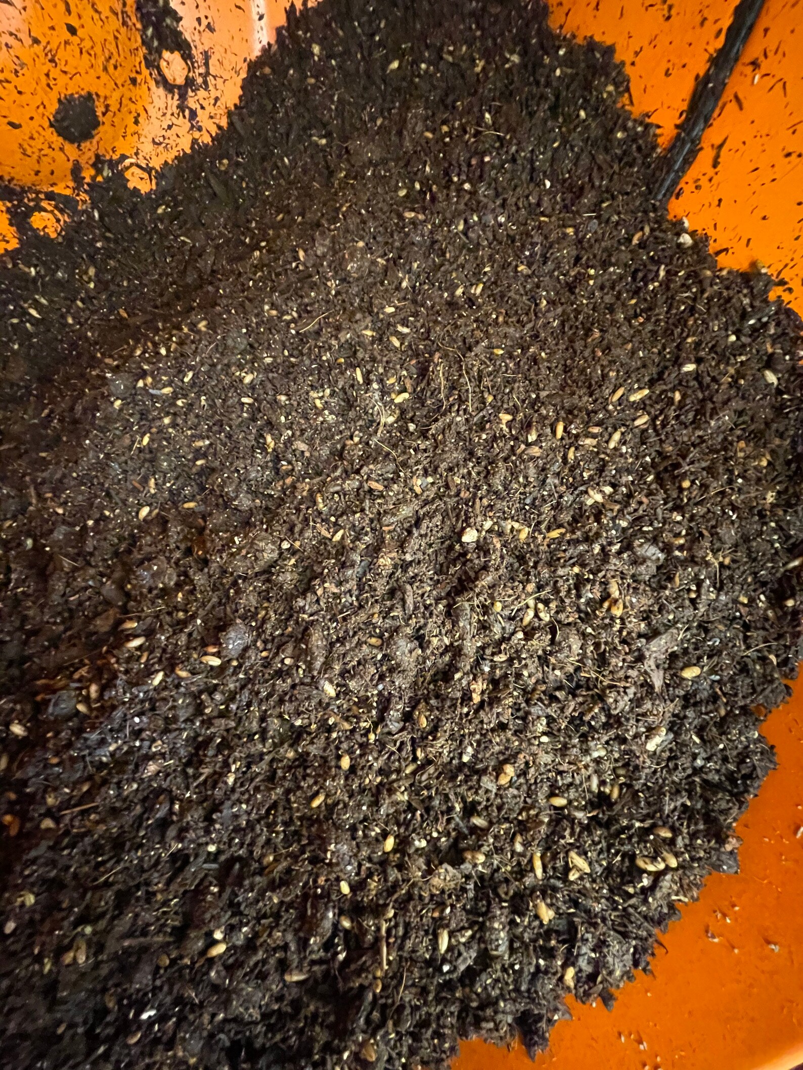 2 x 5lb Aged horse Manure all in one bags with Injection Ports Etsy