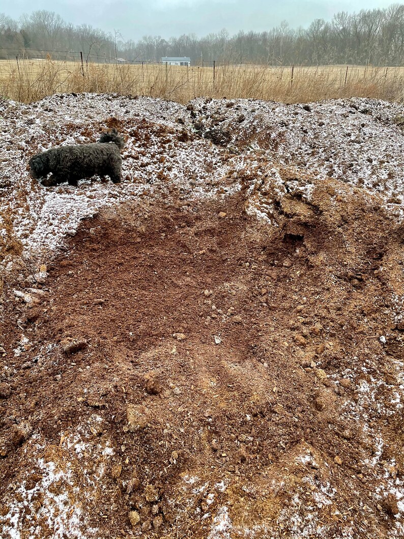 10 Lbs. Horse Manure Substrate highpressure Pasteurized Etsy