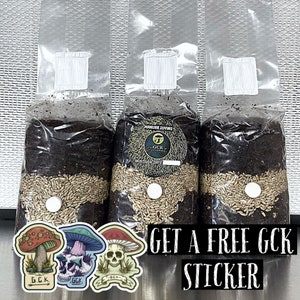 3-Pack Manure Loving Mushroom grow kit