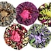 Owner of <a href='https://www.etsy.com/shop/TheBonnetStore?ref=l2-about-shopname&from_page=listing' class='wt-text-link'>TheBonnetStore</a>