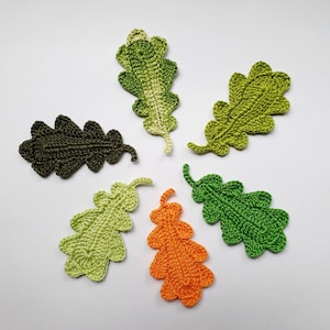 Set di sei foglie di quercia all'uncinetto, piccole foglie botaniche applicate