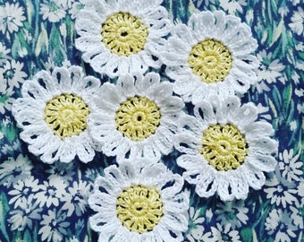 Crochet Daisy Flowers Set 6 Pieces |Crochet White Daisy | Botanical Crochet