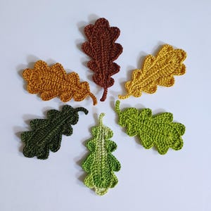 Set di sei foglie di quercia verde e gialle all'uncinetto, piccole foglie botaniche applicate