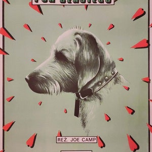 Benji the Hunted Poolse filmposter 1989 jaar origineel geen herdruk