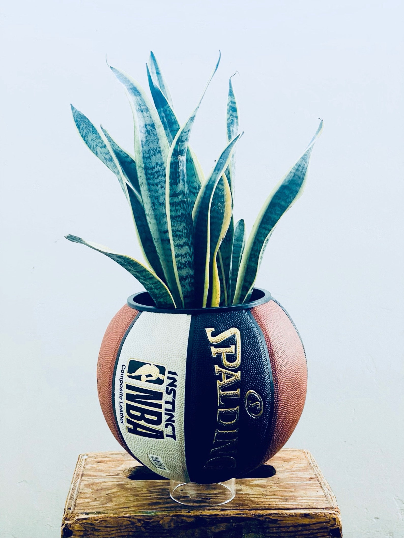 3 Acrylic Stand for Basketball Planters Etsy