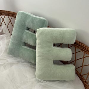 Cojines para sala de estar, cojines color salvia, decoración con letras de tela, cojín para sala de juegos, decoración de sofá, cojín personalizado, decoración con monogramas