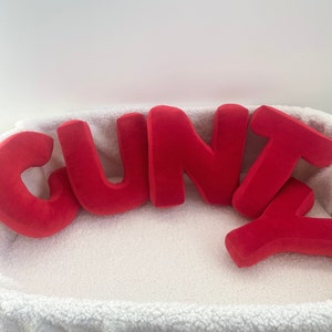 Juego de almohadas decorativas con letras &quot;CUNT*&quot; para dormitorio, almohadas personalizadas, monogramas decorativos, letras personalizadas, almohadas decorativas con forma de alfabeto
