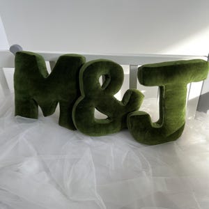 Juego de almohadas de regalo familiar, juego de almohadas, decoración de dormitorio, decoración de sofá, almohada personalizada, carta personalizada, regalo de despedida de soltera