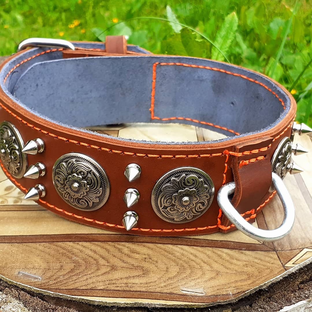 Leather dog collar Etsy